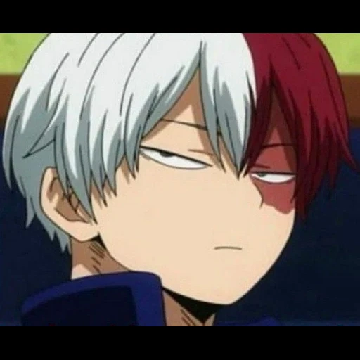 todoroki, todoroki, host tree rebe, east taoki anime, todoroki shoto