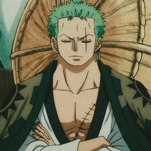 zoro, roronoa zoro, anime de uma peça, anime roronoa zoro, van pis roronoa zoro