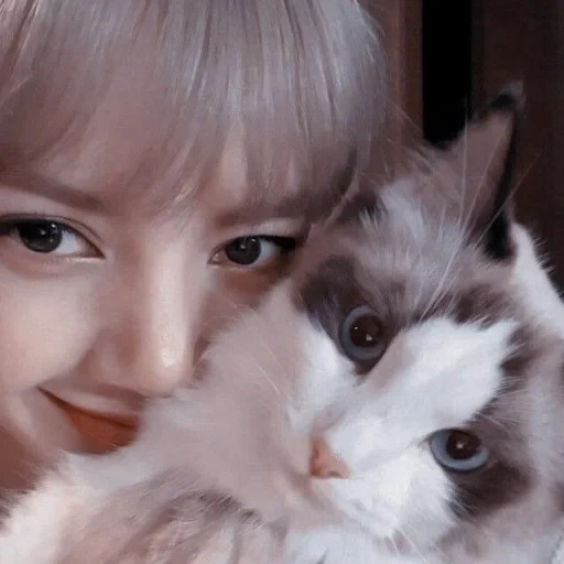 27 maret, lalaalisa m, exo kpop 2022, gadis-gadis cantik, kucing blackpink lisa