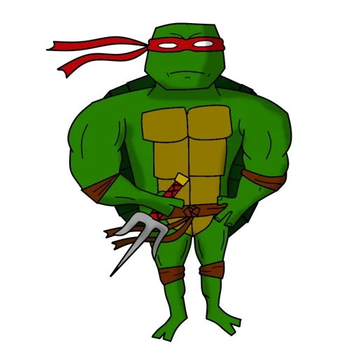 ninja turtle, tmnt 2003 raphael, ninja turtle ralph, turtle-backed ninja test, raphael turtle-ninja pattern