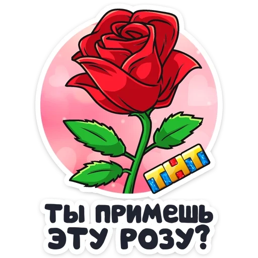 le rose, rosa rossa, modello di rose, cartoon rose, cartoon rose red