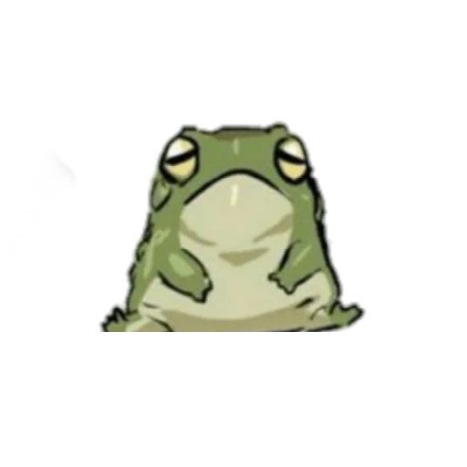 der frosch ist süß, froschzeichnung, die froschkunst ist süß, froschzeichnungen sind süß, der frosch ist eine süße zeichnung