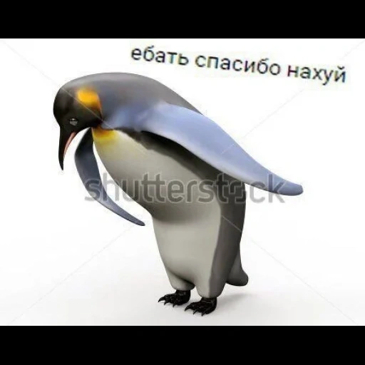 пингвин кланяется мем, мем пингвин, спасибо мем пингвин, кланяющийся пингвин, пингвин