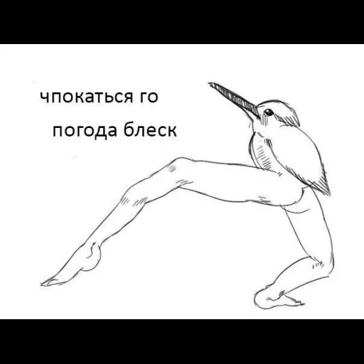 колибри для срисовки, колибри рисунок, колибри карандашом для срисовки, колибри карандашом, птица свободы карандашом