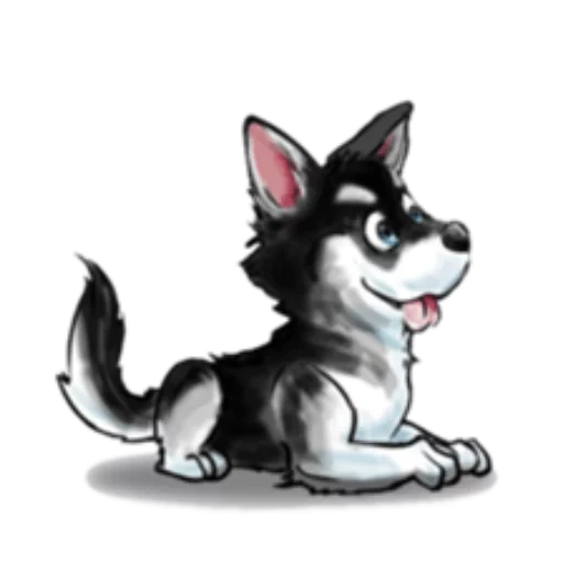 husky, the drawings of husky, husky cartoon, cartoon husky, husky cartoon style