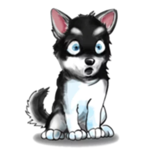 der hund, husky puppy, husky welpen, tiere niedlich, cartoon husky