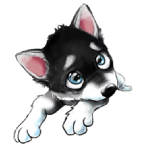 chien, husky e, husky chibi, dessin animé, dessin animé