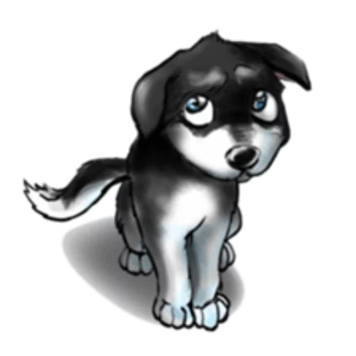 dog, husky, husky cartoon, cartoon husky, dissatisfied puppy