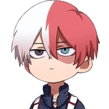 Shoto Todoroki •