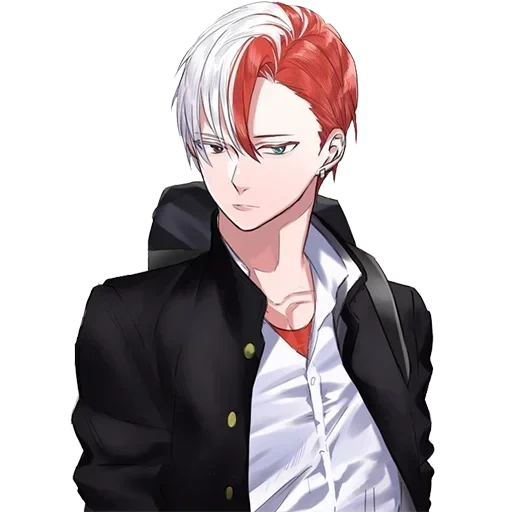 todoroki, hosto shoichi, uto dongshu animation, my hero shawten college, my hero academy shoto todoroki