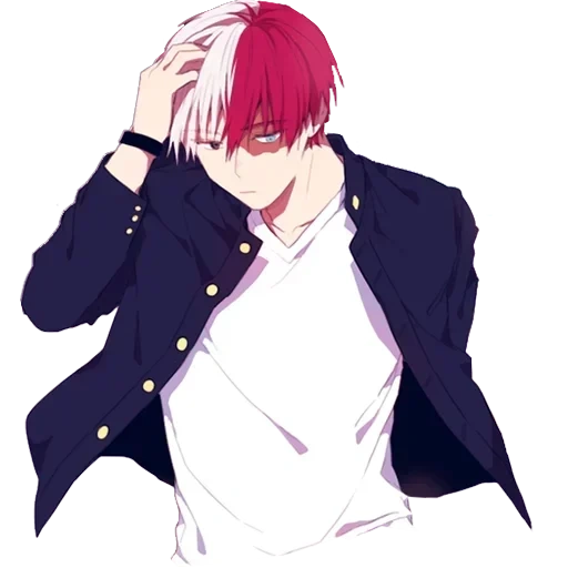 immagine, todoroki, todoroki shoto, akashi seijuro