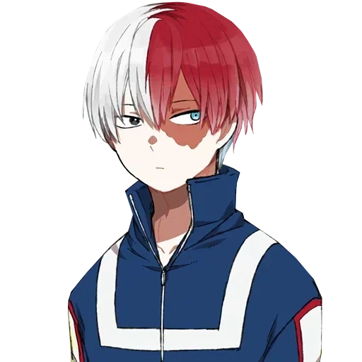 todoroki, anggur pohon tuan rumah, anime mahoni timur, todoroki shoto, anime toki uito