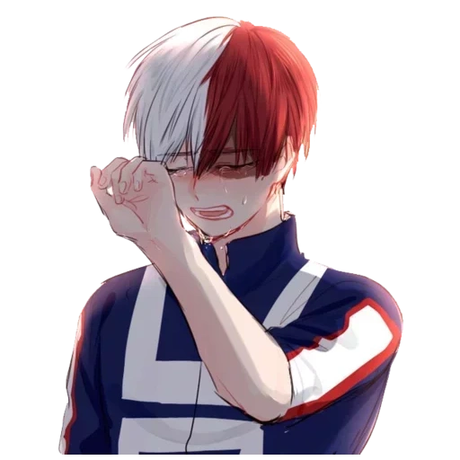 todoroki, hosto shoichi, akira de doromu shangteng, crying dongduomu vines, anime my hero academy todoroki