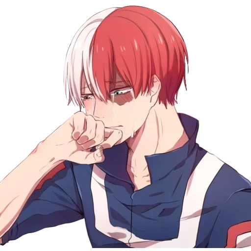 todoroki, akiichi hosto, arte di ueto didoroki, anime di tokio ueto