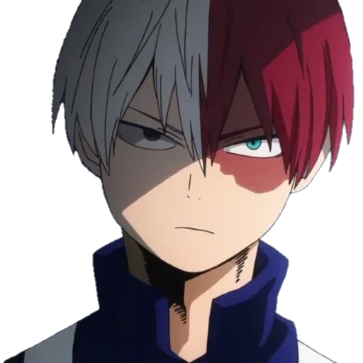 todoroki, todoroki shoto, anime todoroki, todoroki shoto, saudara perempuan anime todoroki