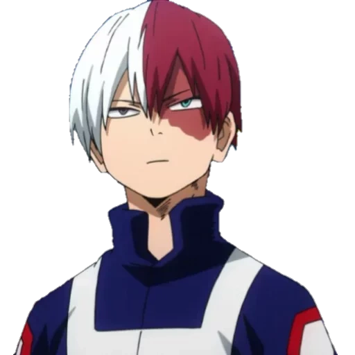 todoroki, rattan on the host tree, todoroki shoto, fuduolomu heroes college, todoromu my hero academy