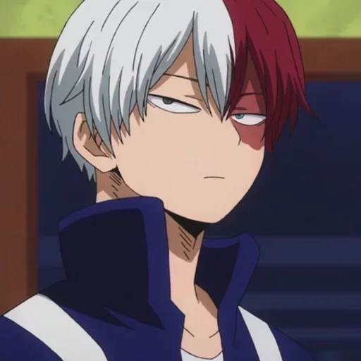 todoroki, videira na árvore anfitriã, hospedagem zhaoyi, todoroki shouto, o meu colégio de heróis