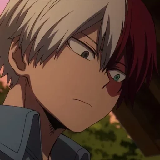 todoroki, videira na árvore anfitriã, shoto todoroki, shouto todoroki, papel de animação