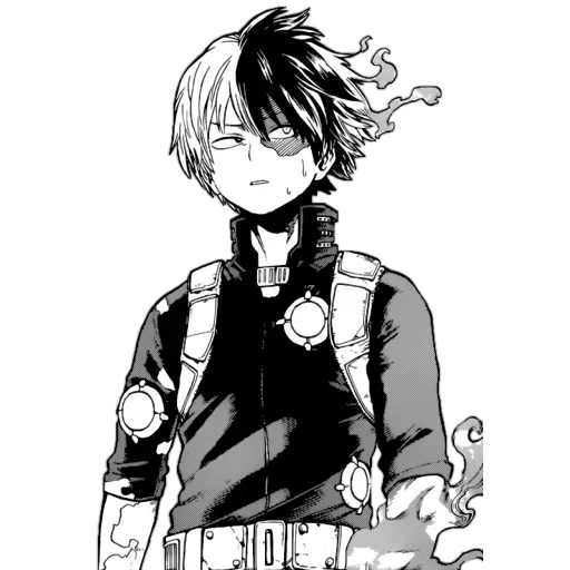 todoroki, todoroki shoto, todoroki manga, anime charaktere, meine heldenakademie