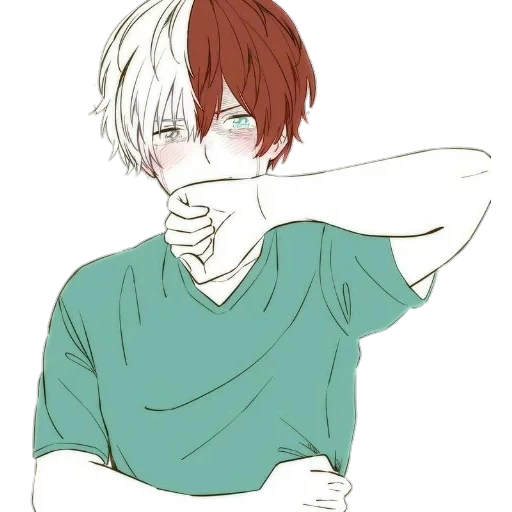 todoroki, anime boy, fudo luo mukun, vite dell'albero ospitante, l'imbarazzo di todoroki