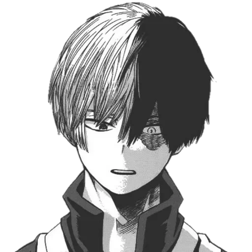 todoroki, cara de anime, hospedagem zhaoyi, todoroki manga, shoto todoroki manga