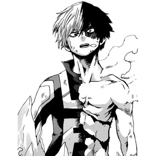 hosto shoichi, anime picture, todoroki manga, todoroki shoto manga, my hero academy