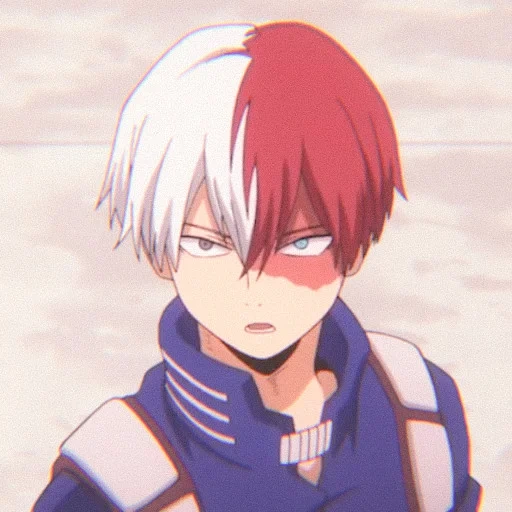 todoroki, ray todoro, anggur pohon tuan rumah, shoto todoroki, akademi pahlawan fudoromu