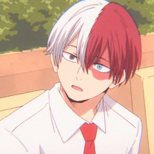 todoroki, hero academia, shoto todoroki, todoroki shouto, my heroic academy