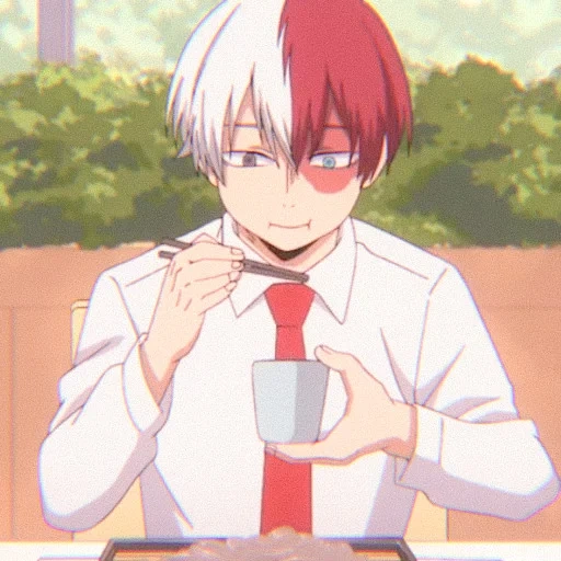 todoroki, fudoromukun, hospedagem zhaoyi, shoto todoroki, tela todoroki