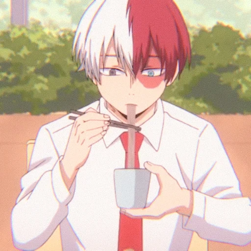 todoroki, fudoromukun, videira na árvore anfitriã, todoroki shoto, mga rei todoroki