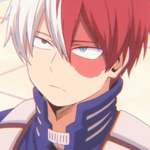 todoroki, todoroki, vigne de l'arbre hôte, shoto todoroki, todoroki shouto