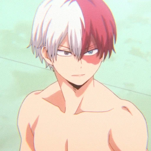 todoroki, vigne de l'arbre hôte, shoto todoroki, todoroki shouto, my heroes academy saison 3