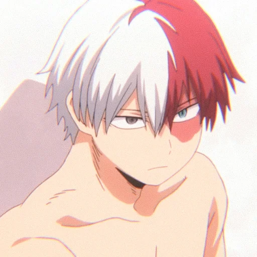 todoroki, hospedagem zhaoyi, amv todoroki shoto, faculdade de heróis de fudoromu, o meu fudoromu heroes college