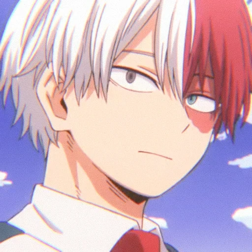 todoroki, todoroki, micah todoroki, animação todoro, todoroki shoto