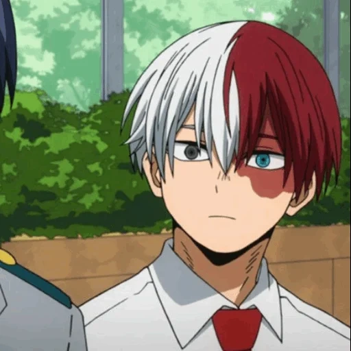 todoroki, vigne de l'arbre hôte, shoto todoroki, todoroki shouto, écran todoroki