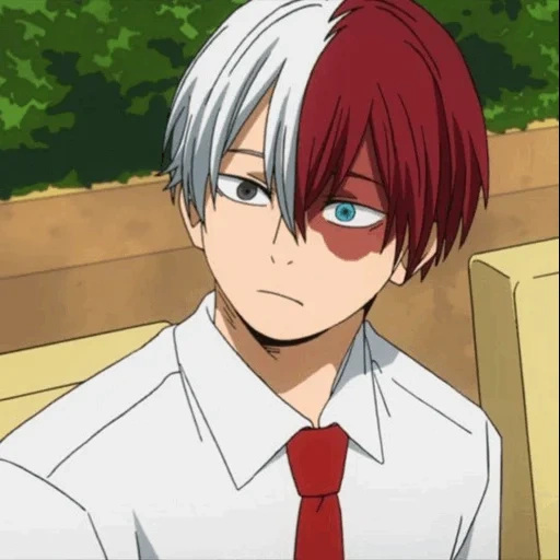 todoroki, todoroki, micah todoroki, hospedagem zhaoyi, todoroki shoto