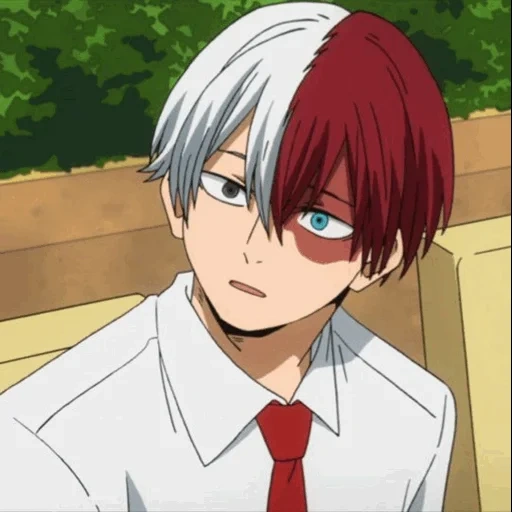 todoroki, hospedagem zhaoyi, shoto todoroki, a primeira temporada de shangteng east tree, o meu colégio de heróis