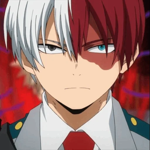 todoroki, todoroki, animação de quadrinhos, videira na árvore anfitriã, todoroki shoto