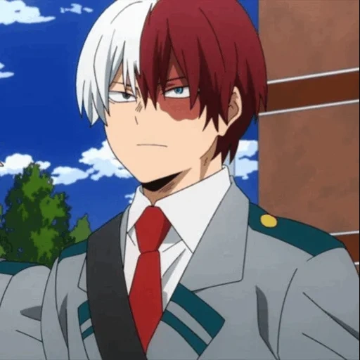 todoroki, todoroki shoto, моя геройская академия, геройская академия тодороки, бакуго кацуки тодороки шото аниме