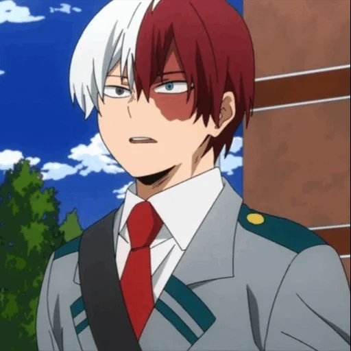 todoroki, тодороки кот, todoroki shouto, геройская академия тодороки, моя геройская академия 4 сезон тодороки