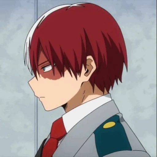 todoroki, todoroki, rattan on the host tree, shoto todoroki, cartoon character