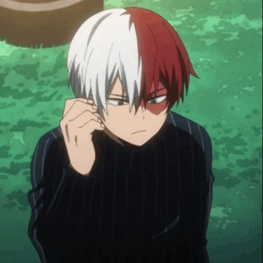 todoroki, rattan on the host tree, dongtaomu animation, todoroki shoto, uto dongshu animation