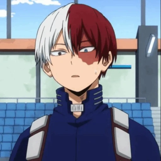 todoroki, todoroki, rattan on the host tree, shoto todoroki, shouto todoroki