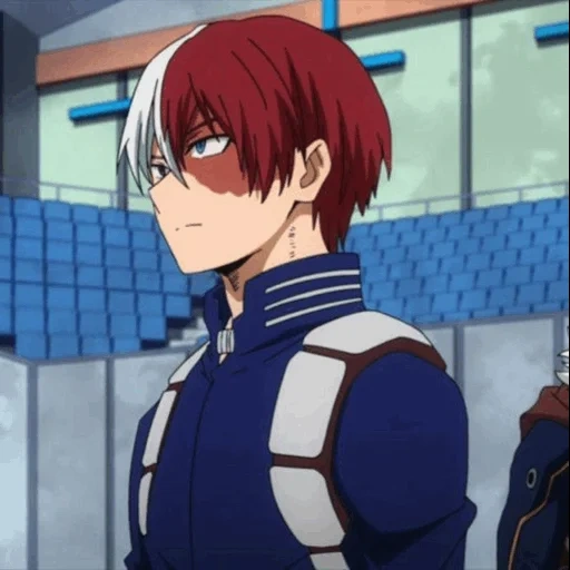 todoroki, heroes college, my hero academy, hawk my hero academy, doromu's hero academy film