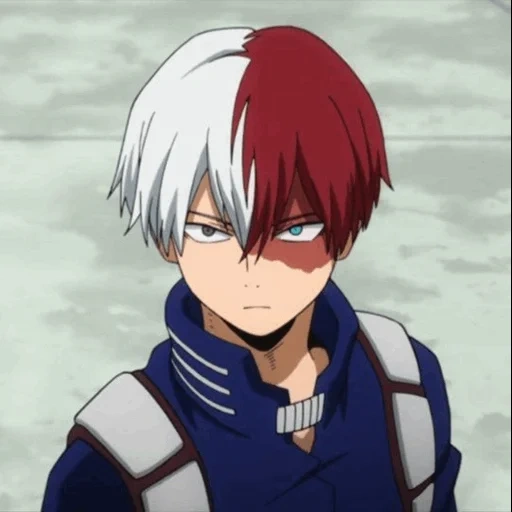 todoroki, fuduo luo mukun, hosto shoichi, shoto todoroki, my hero academy 4