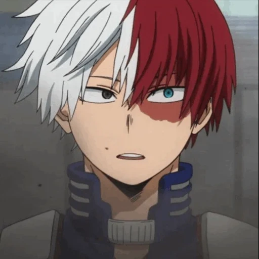 todoroki, todoroki, todorochimga, akiichi hoshiki, shoto todoroki