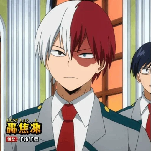 todoroki, rattan on the host tree, todoroki shoto, fuduolomu heroes college, my hero academy season 4 todoro wood