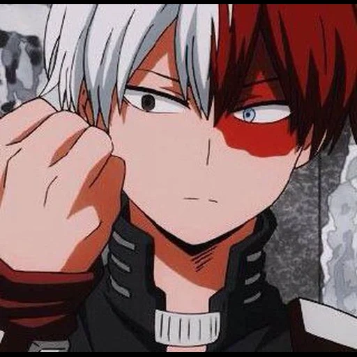 todoroki, todoroki, akiichi hosto, vite dell'albero ospitante, foto todoroki