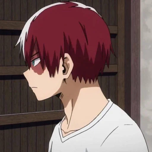 foto di todoroki, shouto todoroki, accademia degli eroi, la mia accademia di eroi, boku no hero accademia hot