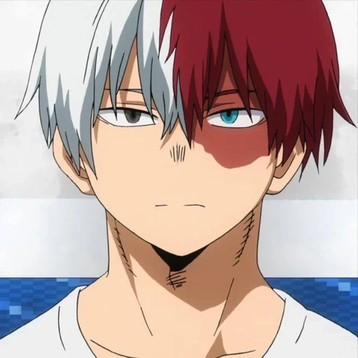 todoroki, shoto todoroki, écran todoroki, todoroki shouto screen, uetto tokoromi mange du soba